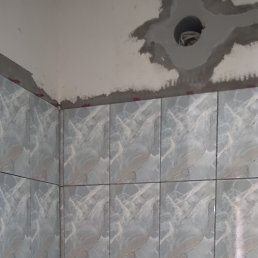 ���� ����, ���������, 46 ��� - ��������� 11 ������� 2024