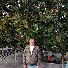 �������, 48 ���, �����