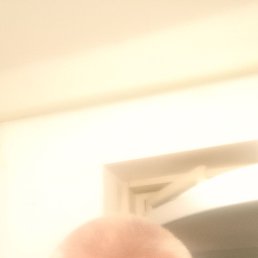, 48, 
