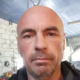 ������, ���������, 46 ���