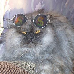 ���, �����, 45 ���