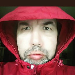 ������, �����, 37 ���