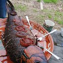 ���� Galina, ���������, 67 ��� - ��������� 26 ��� 2024 � ������ ���� ����������