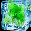 ���� �����, ���������, 46 ��� - ��������� 4 ���� 2024 � ������ ���� ����������