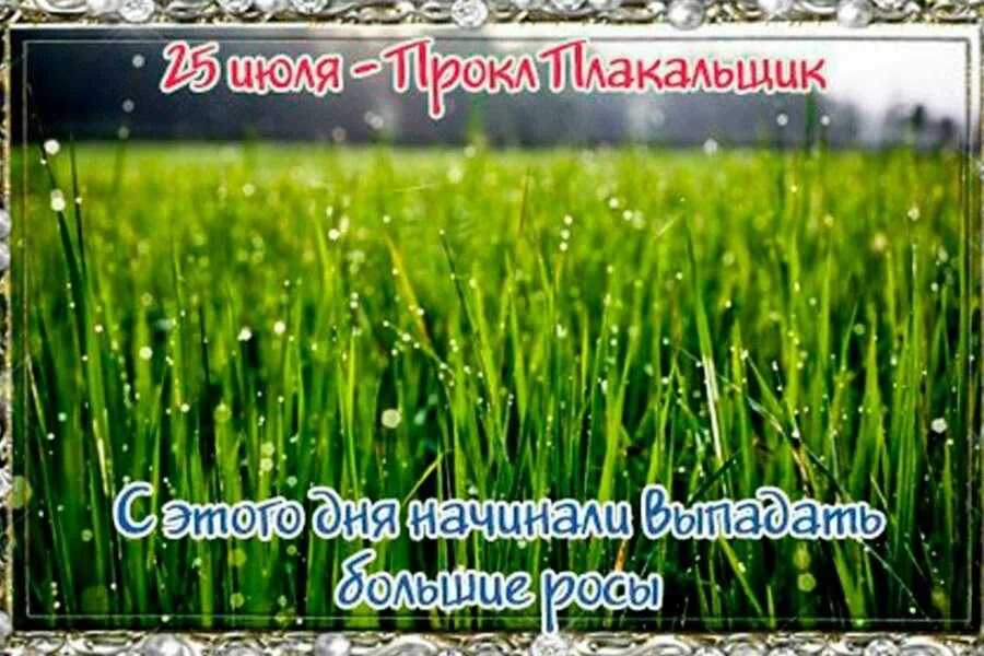 Прокл плакальщик 25 июля картинки