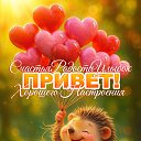 ���� ����, ����-���, 44 ���� - ��������� 8 ������� 2026 � ������ ������ ��������