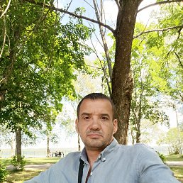 , 44, 