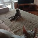 ���� Hrustbk, ������, 106 ��� - ��������� 31 ������� 2024 � ������ ���� ����������