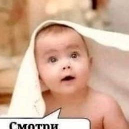 ����, ���������, 41 ���