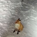 ���� ������, ����, 52 ���� - ��������� 29 ������ 2025 � ������ ���� ����������