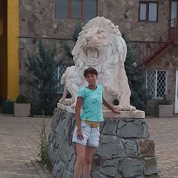 , 33, 