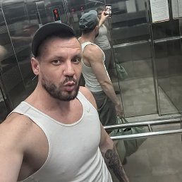 ����, ����������