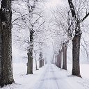 ���� �����, ����, 40 ��� - ��������� 3 ������� 2024 � ������ ����� 2024 (3.12.2024 // 0:49)�