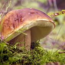  ,  -  6  2025     :)