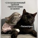 ���� �����, ��������, 61 ��� - ��������� 22 ��� 2026 � ������ ������ ��������