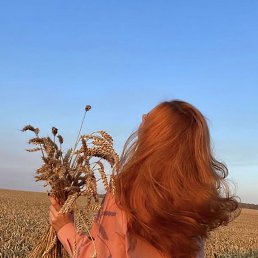 ���� ���������, ���������, 34 ���� - ��������� 14 �������� 2026