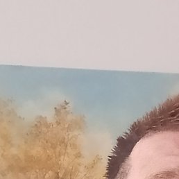 �����, ������, 47 ���