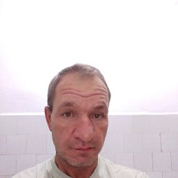 , 44 , 