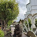  Miracle, - -  26  2025    