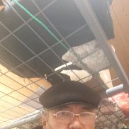 ����, 55 ���, ������