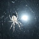 ���� ����, ������� - ��������� 10 ������� 2025 � ������ ���� ����������