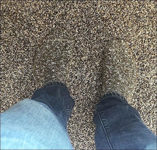 � ������ ������ � ������ ����� - 7