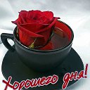 ���� �������, ����� - ��������� 2 ������� 2026 � ������ ���� ����������