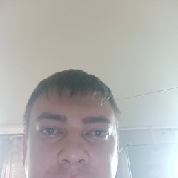 , 32 , 