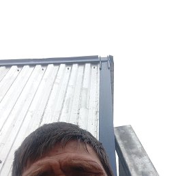 , 40, 