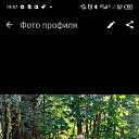 ���� ���, ����, 55 ��� - ��������� 1 ������ 2026 � ������ ���� ����������