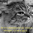 ���� ������, ������, 65 ��� - ��������� 29 ���� 2024 � ������ ���� ����������
