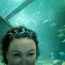 ���� ������, �����-���������, 56 ��� - ��������� 14 ������ 2025 � ������ ������ ��������