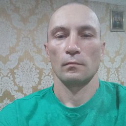 , 43, 