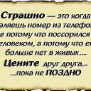 ���� ������ �������, ������, 64 ���� - ��������� 8 ��� 2026 � ������ ������ ��������