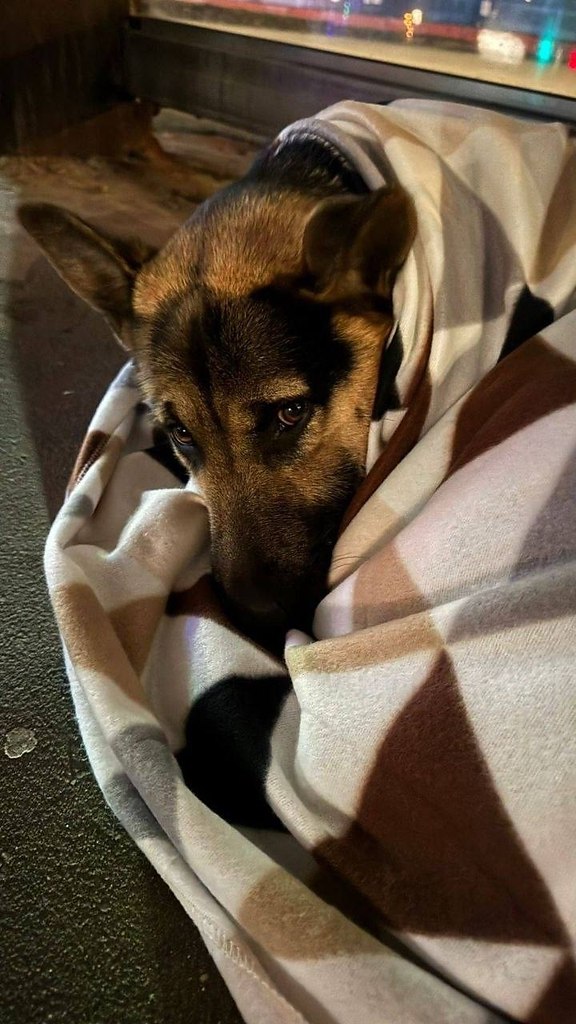 ������, ���������� �������, ���� ������� � ���������� ���-3 �� ������� ���������� � �������. ����� ... - 2