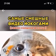 ����, 36 ���, ������