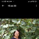 ���� �����, ������, 52 ���� - ��������� 1 ������ 2025 � ������ ���� ����������