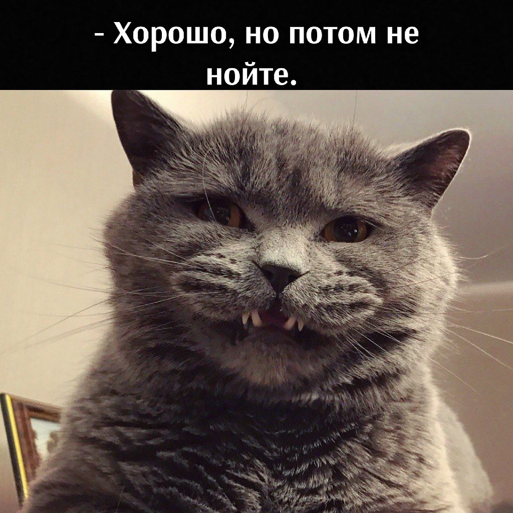      - 5  2025  12:10 - 2