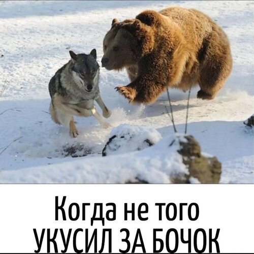   ! - 19  2025  12:07