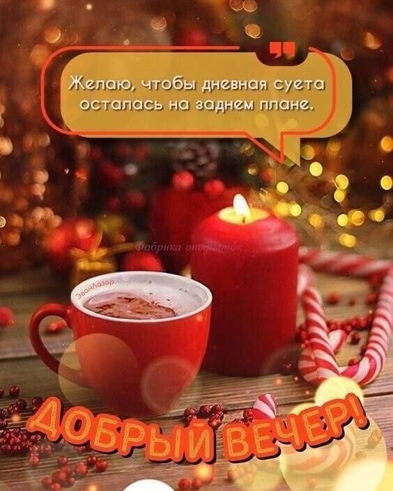   ,    . - 8  2024  18:21 - 2