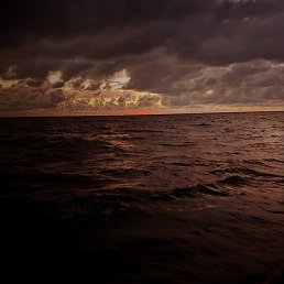 �������, ���������, 23 ����