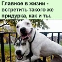���� �������, ���������, 53 ���� - ��������� 7 ������� 2026