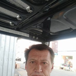 , 52, 