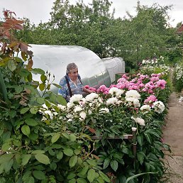 Miha, �������