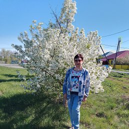 , 53, 