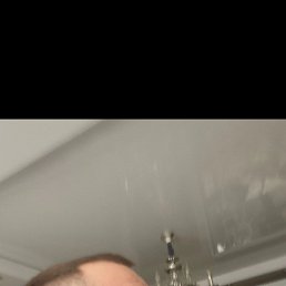 ����, 41 ���, �������