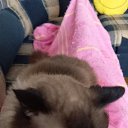 ���� �������, ���������, 51 ��� - ��������� 1 ������� 2025 � ������ ������ ��������