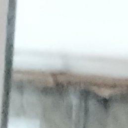 ����, �������, 48 ���