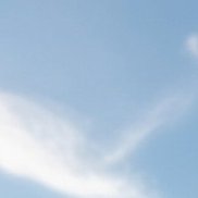 ����, 19 ���, �������