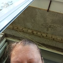 �������, ������, 55 ���